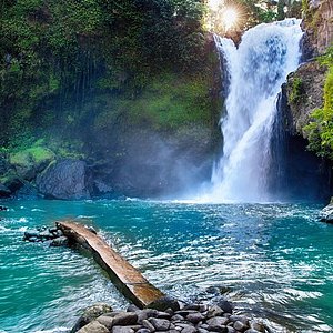 Ubud Tour (Monkey Forest, Tegalalang Rice Terraces, Coffee Plantation, Tegenungan Waterfall)